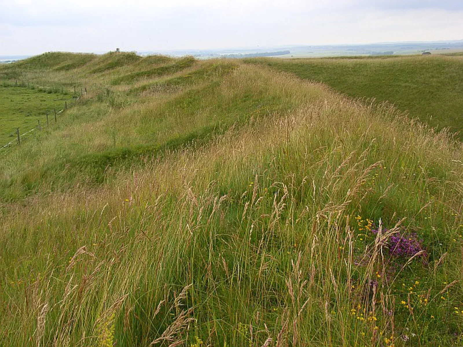 Yarnbury Castle